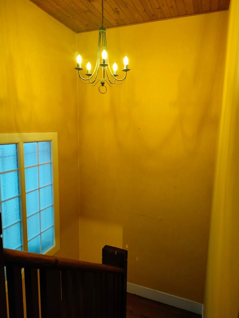 Dépose papier peint à Dax- peintre à Dax-Maurizi peinture-Peintre à Capbreton